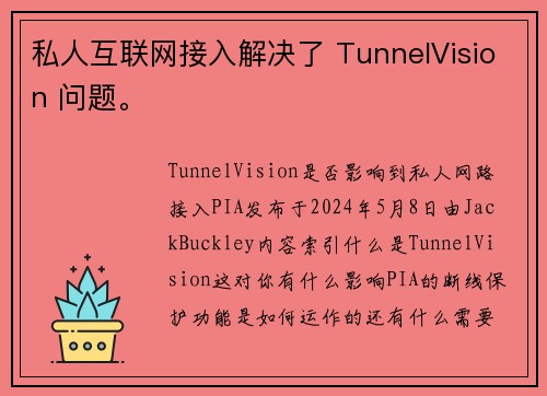 私人互联网接入解决了 TunnelVision 问题。